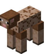 Sheared Brown Sheep