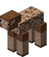 Sheared Brown Sheep