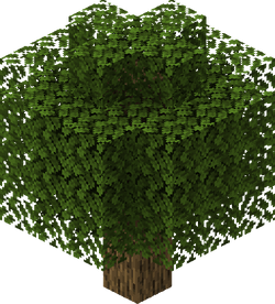 Oak – Minecraft Wiki