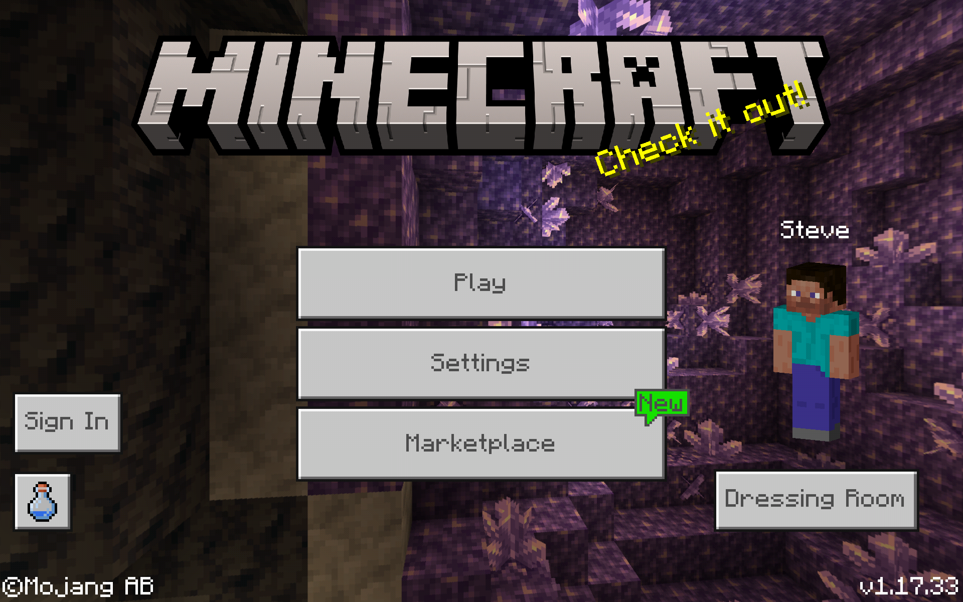 Minecraft 1.17 Java Edition Download