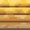 Bee Nest (side texture) JE1 BE1.png