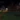 Halloween 2022 panorama 2