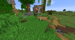 Cat on Village.png