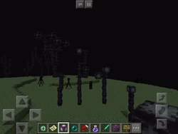 Chorus plant  Minecraft Wiki