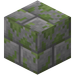 Mossy Stone Bricks