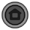 Home button
