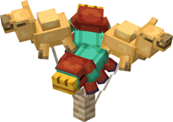 Bundle of balloons from the Trails & Tales Event.