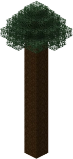 Mega Pine Tree