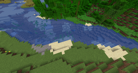 A river biome in Java Edition 1.16, with visible seagrass in it.