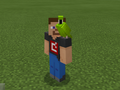 Green Parrot on Developer Steve.png