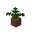 Sparse Jungle Potted Fern.png