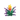 Torchflower Age 2