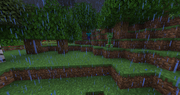 This is a picture of what the Overworld looks like during a thunderstorm. Despite the fact that it is actually daytime  are able to spawn.