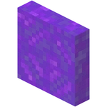Nether Portal (EW) JE1