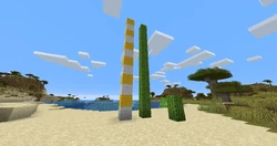A twelve-block tall cactus, extraordinarily rare.
