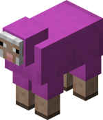 Magenta Sheep