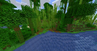 Otra vista de una jungla de bambú.