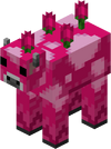 Pink Moobloom