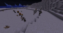 Multiple husks wearing pumpkins on Halloween.