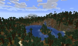 A lake in an old growth taiga.