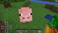 First image of pig riding in Bedrock Edition.