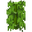 Big Leaves Bamboo JE1 BE2.png