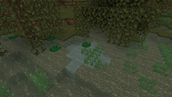 A disk generated in a swamp biome.