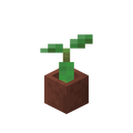 Potted Mangrove Propagule.png