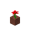 Potted Rose