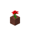 Potted Rose