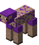 Sheared Purple Sheep