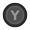 Y button