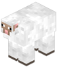 White Sheep BE1