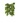 Cave Vines (head) JE1 BE1