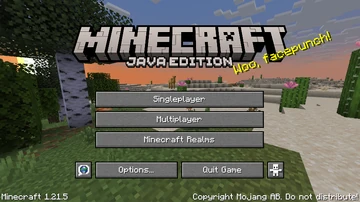 Minecraft_Main_Title_1.21.5