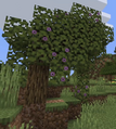 Azalea trees as seen in Minecraft Live 2020. This no longer occurs naturally, due to lush caves being unable to generate beneath plains biomes.