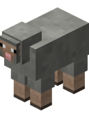 Light Gray Sheep BE4