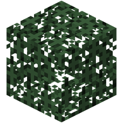Spruce Leaves