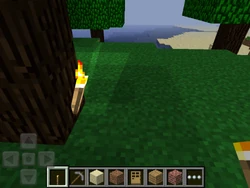 A wall torch from a Pocket Edition Alpha version with a cross outline box.