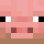 DriedMuddyPigFace