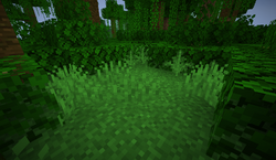 Grass Block - Minecraft Wiki - Neoseeker