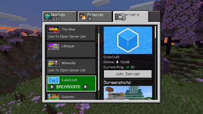 Server List Official Minecraft Wiki