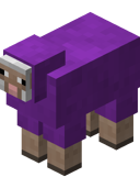 Purple Sheep JE3