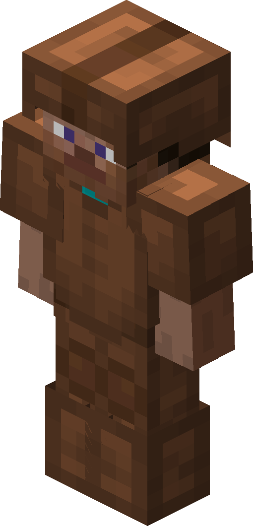 What is armor used for in Minecraft?