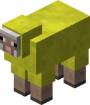 Yellow Sheep JE1.png