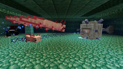 Axolotl Official Minecraft Wiki Axolotl Official Minecraft Wiki