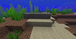 Todas as variantes de blocos de coral mortos.