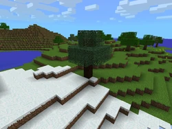 A naturally generated spruce log cold-en oak, found in v0.8.1.