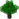 Oak BE6