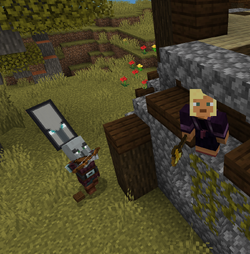 New Player Animation (1.18) - Walk, Sprint, Sneak, Fly